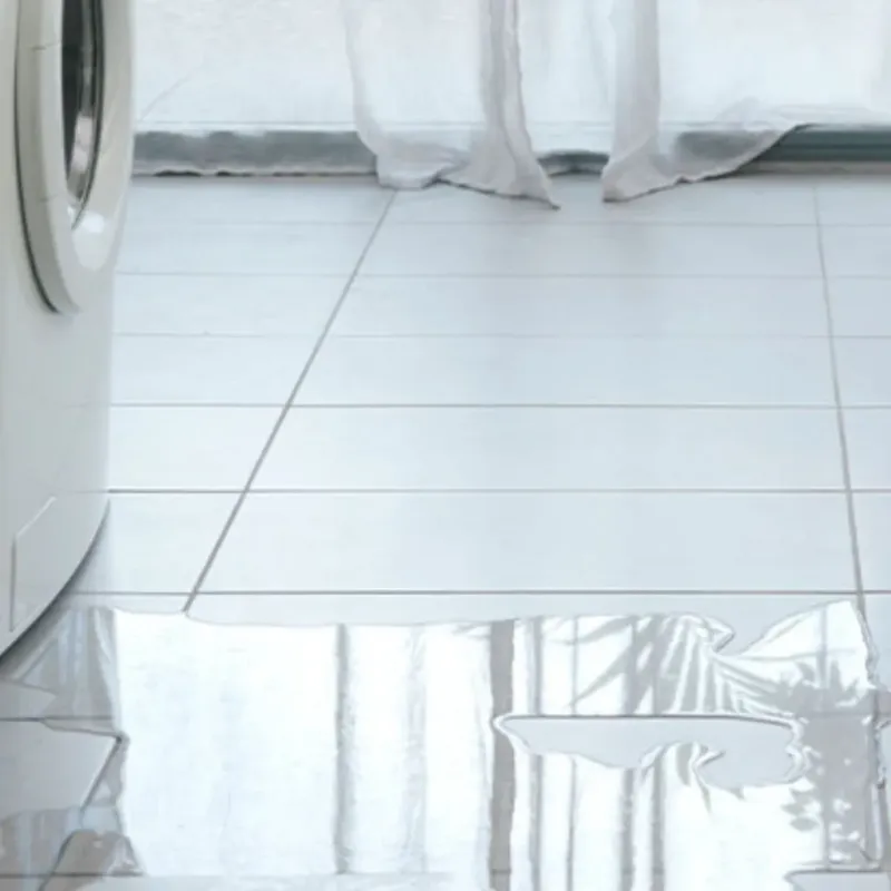 Appliance Leak Cleanup in Leachville, AR