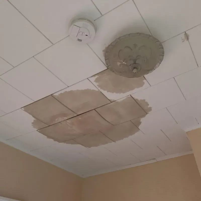 Ceiling Water Damage Repair in Leachville, AR