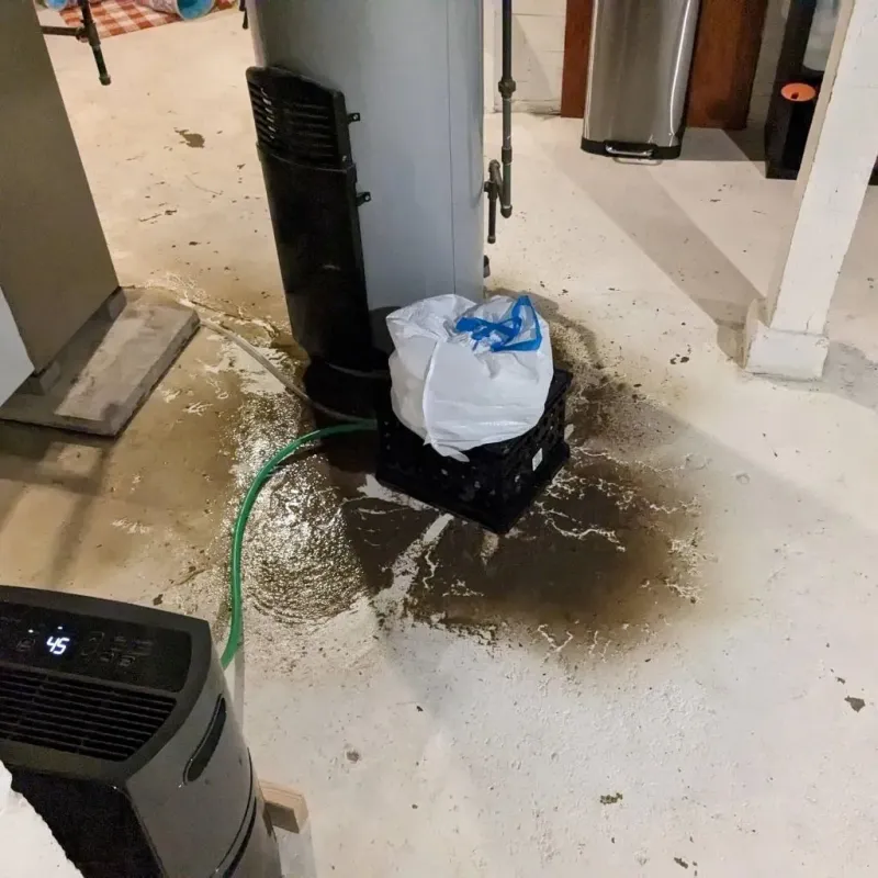 Sewage Backup Cleanup Service in Leachville, AR